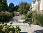 Landscaping in Front of House